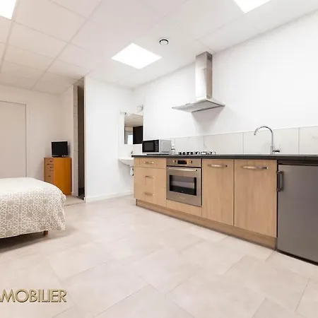 公寓 Panoramique Studio Villé